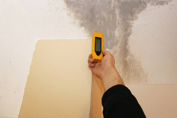 Best Industrial Mold Remediation  in Bentleyville, PA