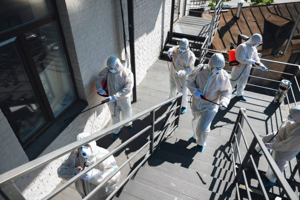 Best Mold Odor Removal Services  in Bentleyville, PA