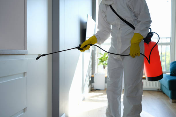 Best Residential Mold Inspection & Testing  in Bentleyville, PA