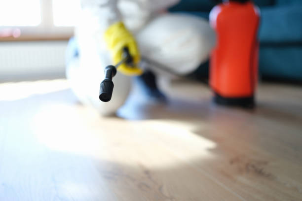Best Forensic Mold Investigation  in Bentleyville, PA