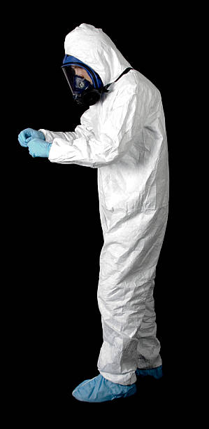 Trusted Bentleyville, PA Mold Removal Experts