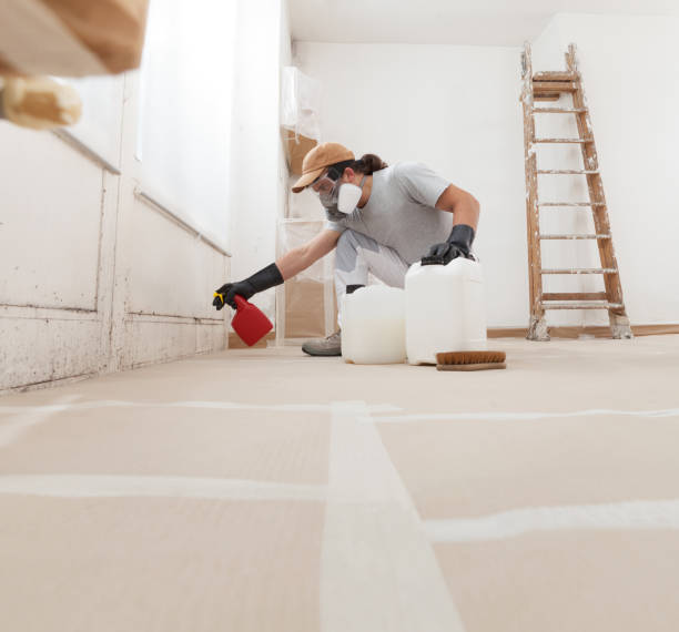 Best Black Mold Removal  in Bentleyville, PA